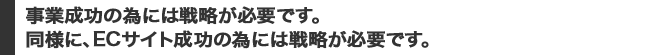 事業成功の為には戦略が必要です。同様に、ECサイト成功の為には戦略が必要です。