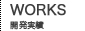 開発実績