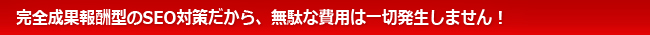 完全成果報酬型のSEO対策だから、無駄な費用は一切発生しません！