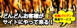 SEOサービス。低価格で、高品質なSEOサービスです。