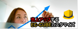 EC-CUBE構築、カスタマイズサービス。売上がアップするEC-CUBEカスタマイズ。